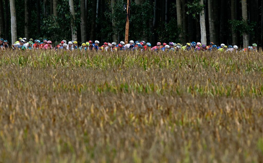 The pack rides during the stage 19 of the 2023 La Vuelta cycling tour of Spain a 1771 km race between La Baneza and Iscar on September 15 2023 Photo by OSCAR DEL POZO AFP Photo by OSCAR DEL POZOAFP via Getty Images