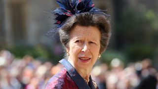 Princess Anne, Princess Royal arrives for the wedding ceremony of Prince Harry and Meghan Markle