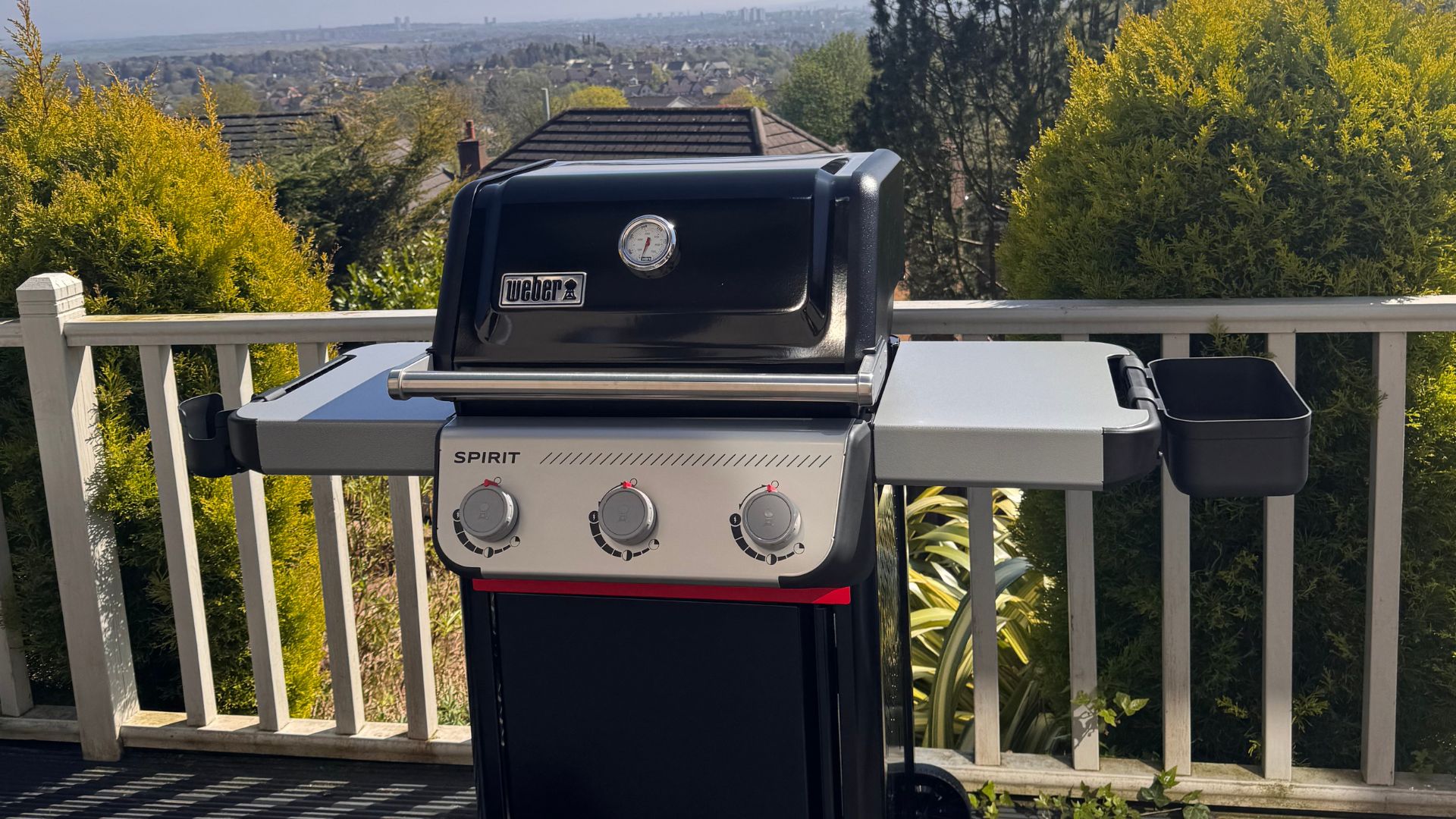 testing the Weber Spirit E-310 Barbecue