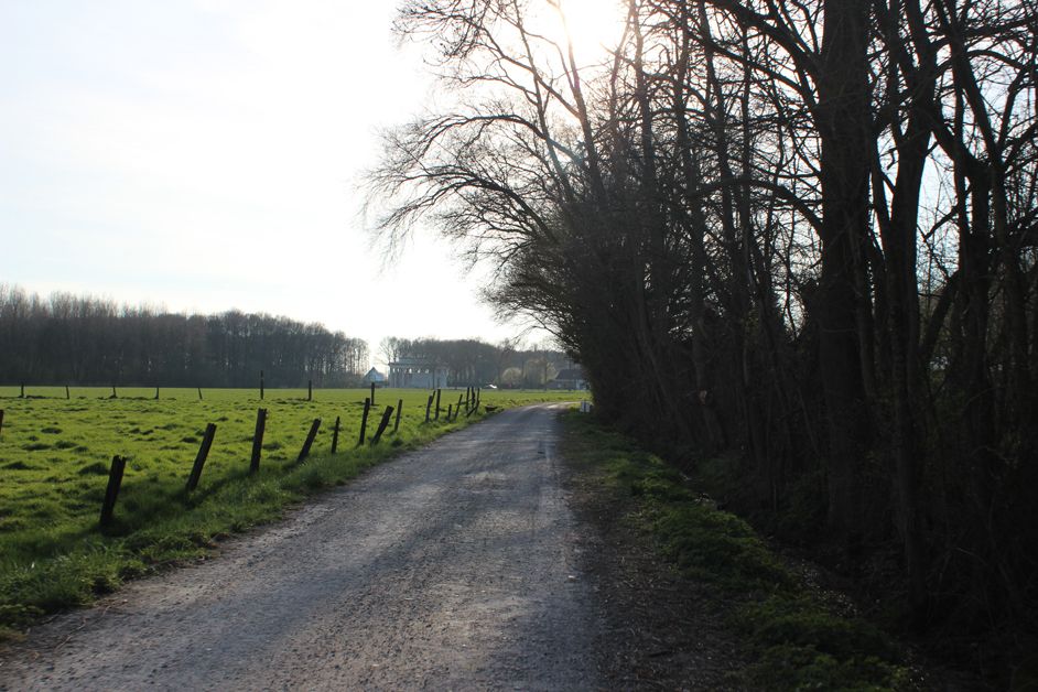 The second sector continues through the trees