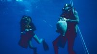 Two scuba divers holding artifacts while underwater