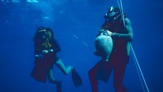 ‘There’s a great hidden museum in the Mediterranean’: Underwater archaeologist David Gibbins takes us on a journey to 12 shipwrecks around the world