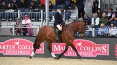 HorseNo1181_RWHS_PN23_73324.jpg