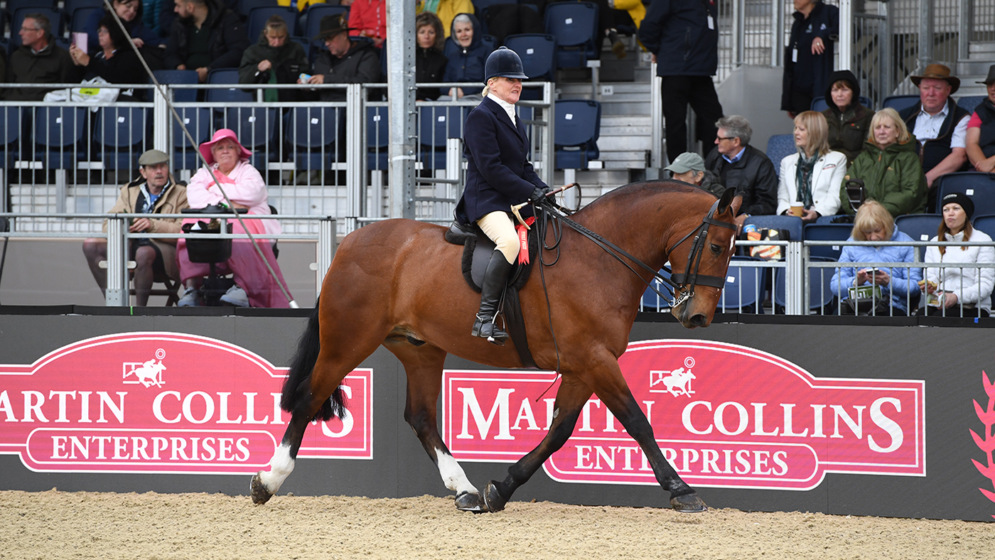 HorseNo1181_RWHS_PN23_73324.jpg