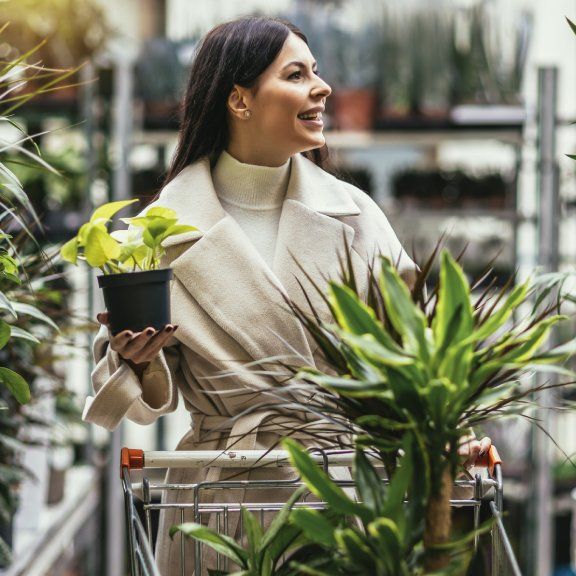 How To Buy Plants Online And In Stores, According To Experts ...