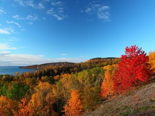 The colorful foliage of autumn