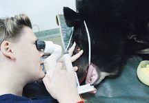 Moonbear2-hr.jpg