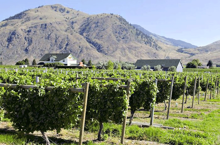 Crowsnest Vineyards