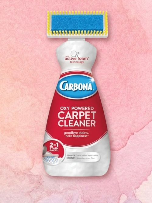 Carbona Carpet Cleaner With Brush