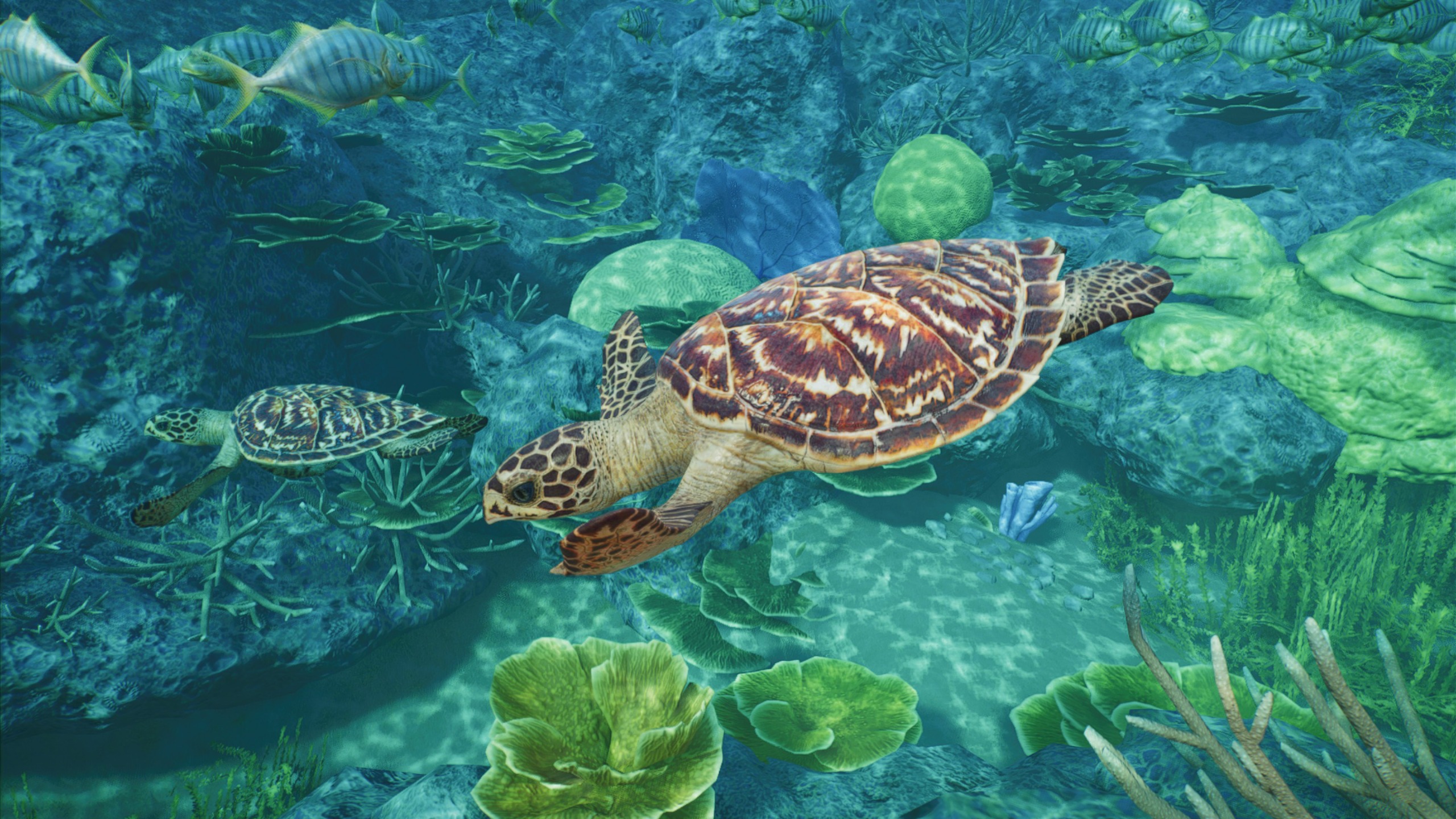 Two hawkbill turtles swimming in front of a coral reef in Planet Zoo 2.
