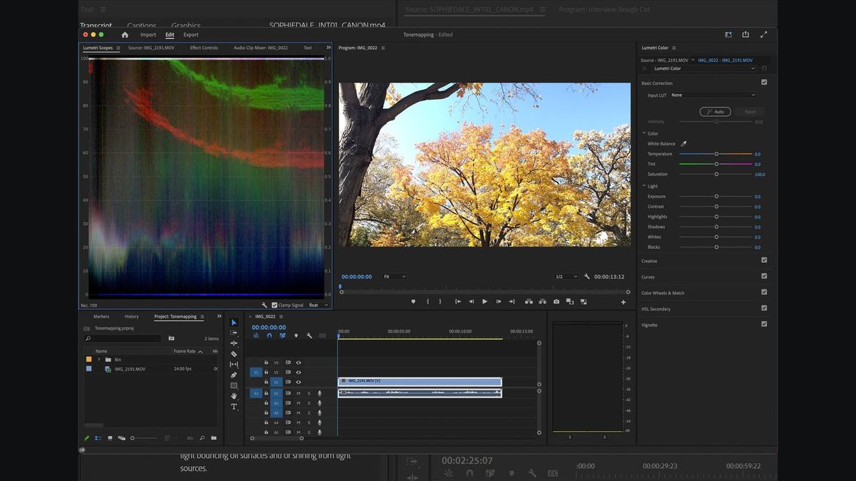 Premiere Pro Video before tone mapping.