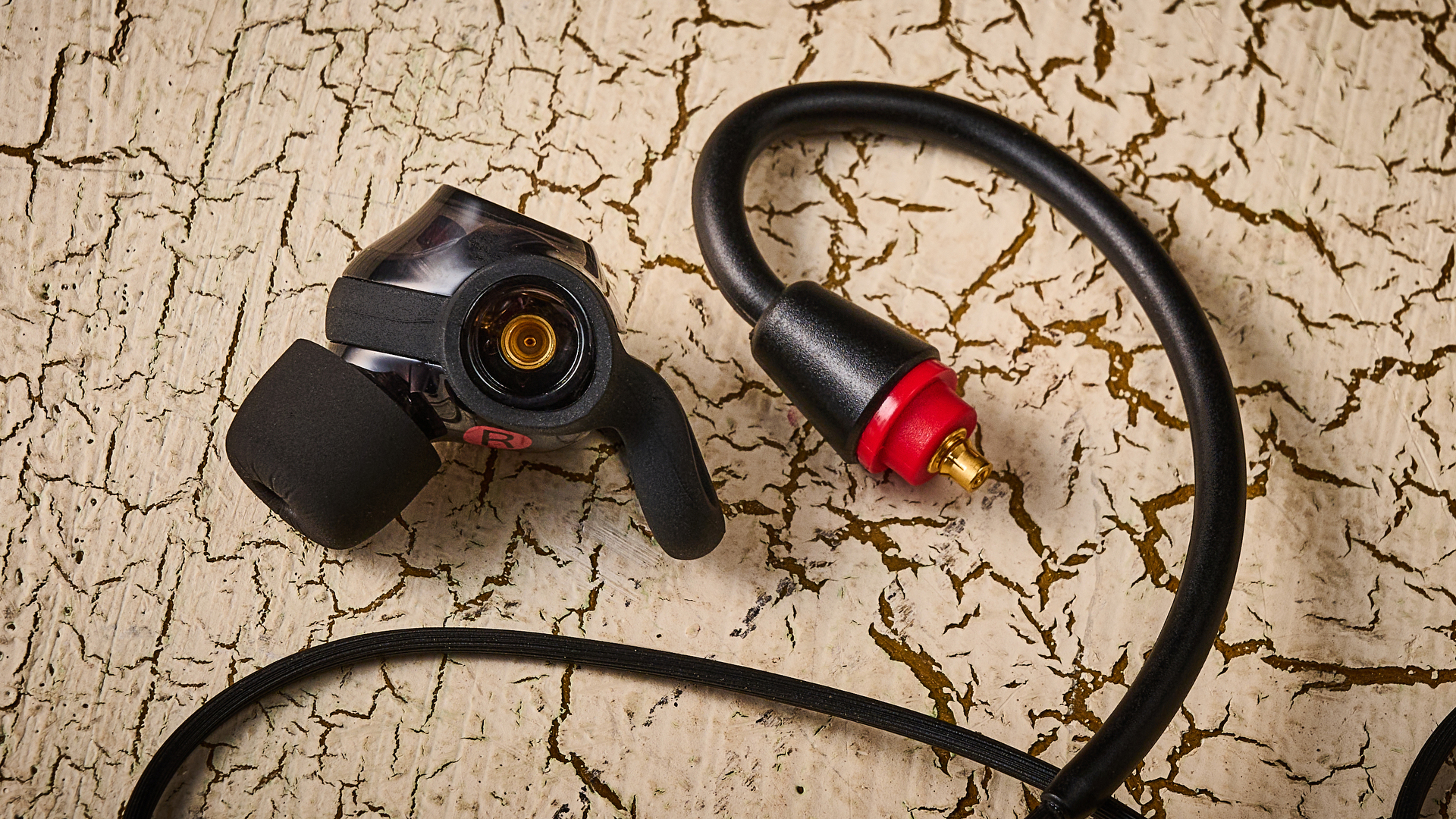 Sony IER-M500