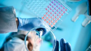 Image of a scientist using a pipette with a microtiter plate and petri dish on a transparent table. The perspective of the image is as if looking up at the scientist from the table.