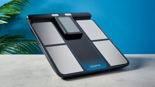 a body fat smart scale by renpho with a pull out handle to measure limb fat percentage and silver electrodes and a blue and black casing rests on a surface in front of a blue background