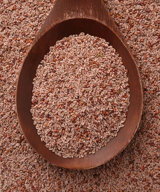 psyllium seeds on a large wooden spoon