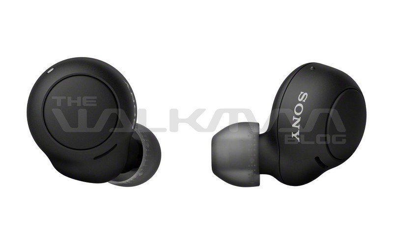Sony WF-C500 Wireless Earbuds