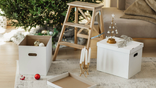 Box of Christmas decorations and foot stool underneath a Christmas tree