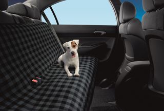 dog seated on car with black grey checked seat cover