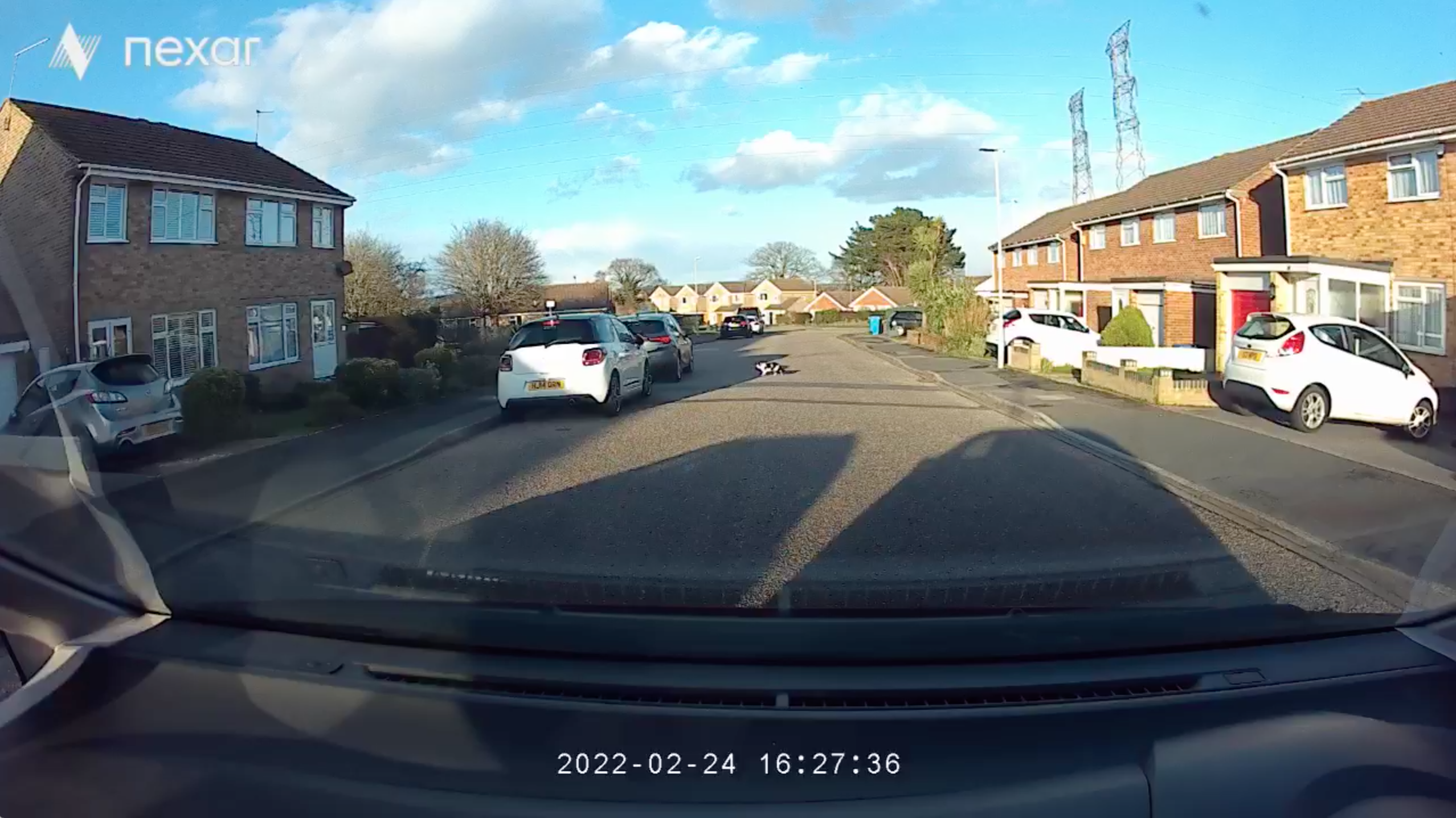 A dash cam's view of a road