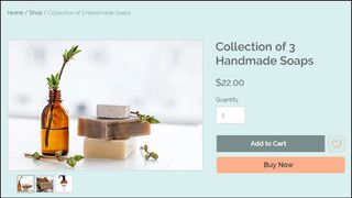 Example of Wix web store page