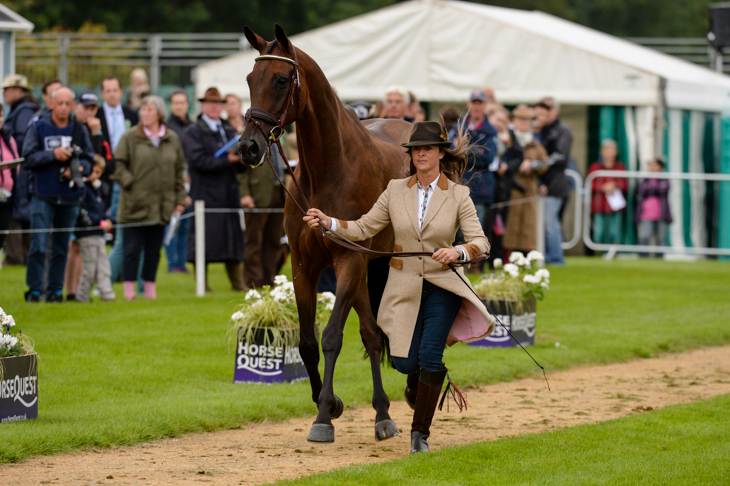 Lynn Symansky and Donner