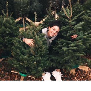 Kendall Jenner Tree Shopping