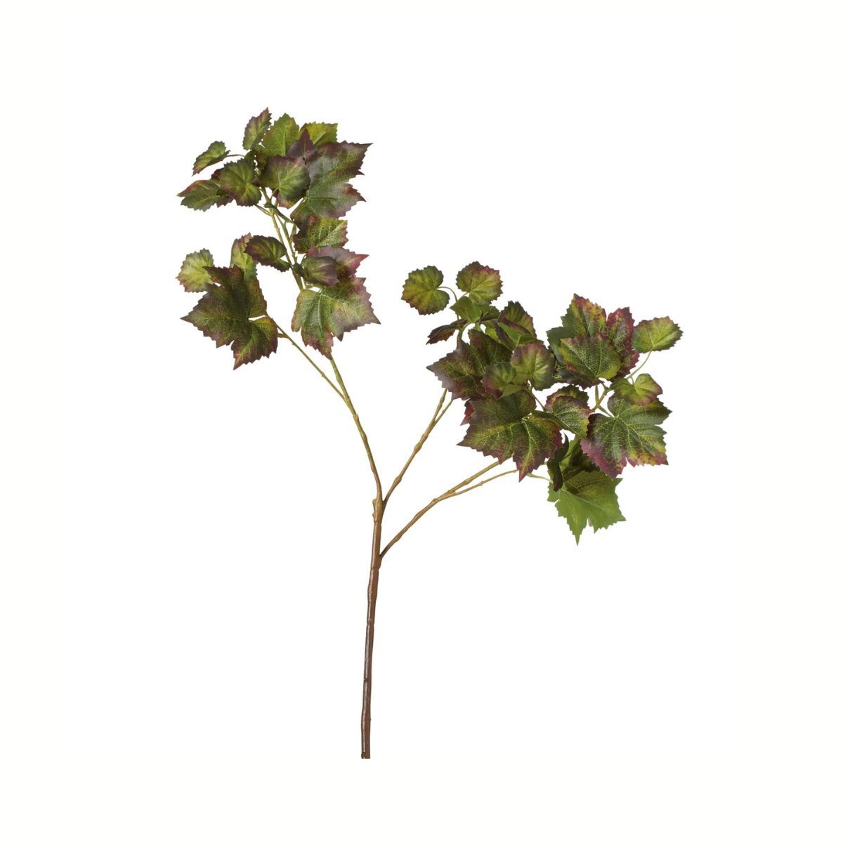 Single Grape Leaf Stem