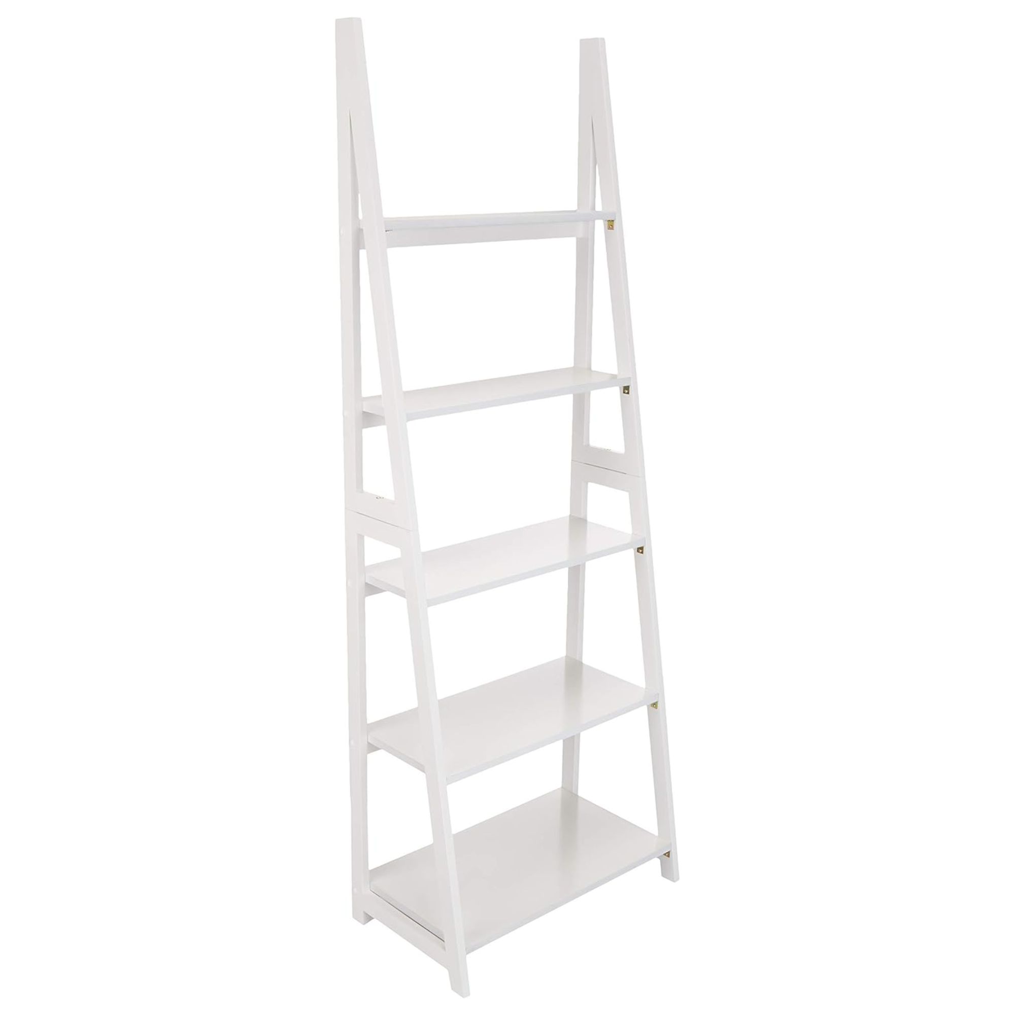 Ladder bookshelf