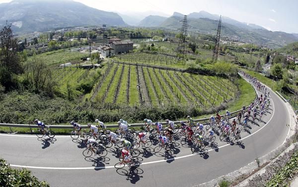 The peloton in action during stage two of the Giro del Trentino.
