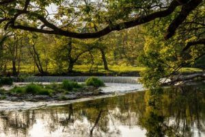 nature therapy: spending time in nature can boost health