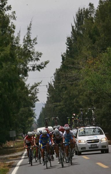 The race makes its way through a pine forest