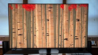 Samsung QN90C showing birch trees in forest