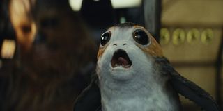 the cutest porg in star wars the last jedi