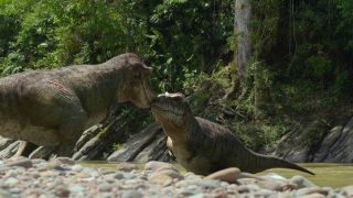 Two theropod (bipedal, mostly meat-eating dinosaurs) share a moment together by the water.