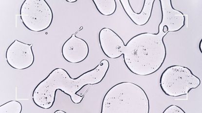 A flatlay of exfoliating acid blobs, to illustrate PHA skincare