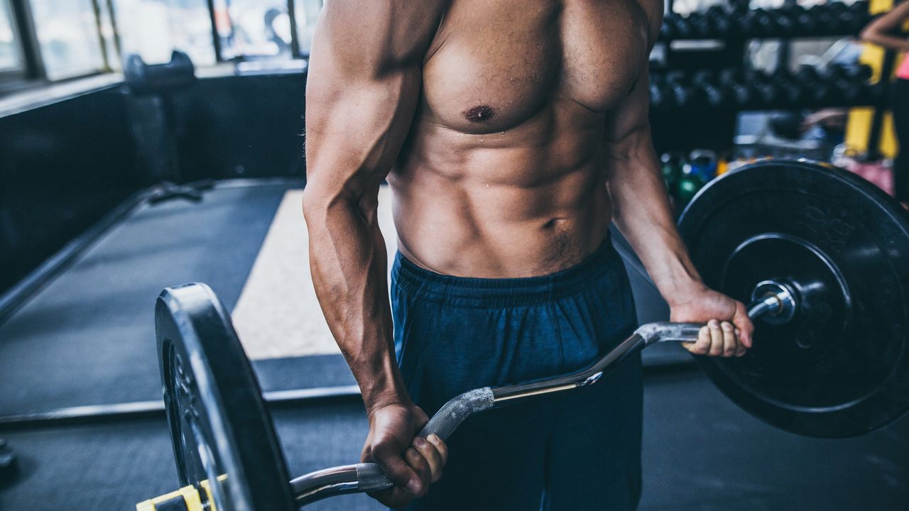 bodybuilder doing EZ bar curl