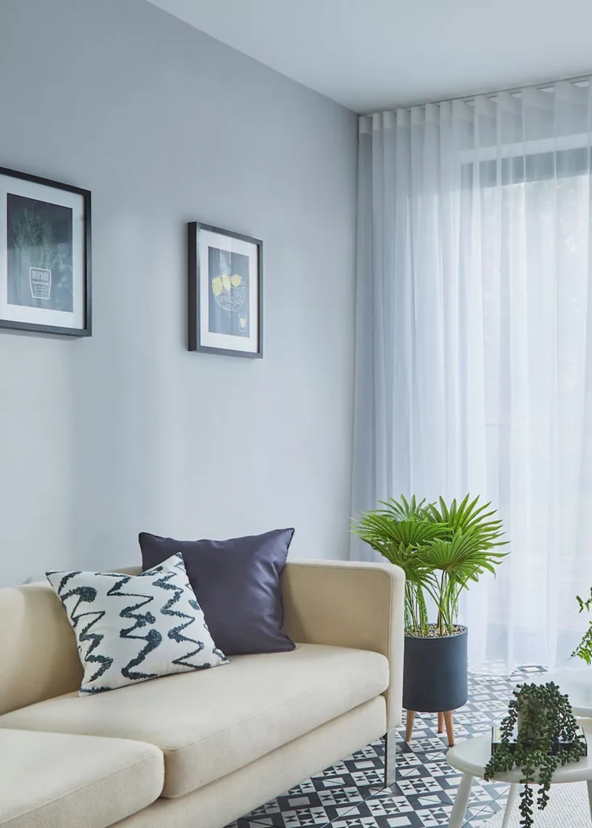 Sheer curtains in a living room and a sofa in the room with cushions on top. A plant pot is beside the sofa with a large plant