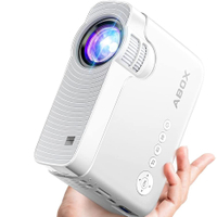 Bomaker mini projector: $99.98