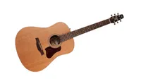 Best acoustic guitars for beginners: Seagull S6