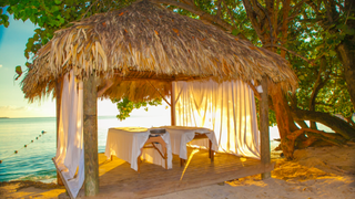 hut, thatching, tree, tropics, gazebo, vacation, palm tree, shade, resort, beach,