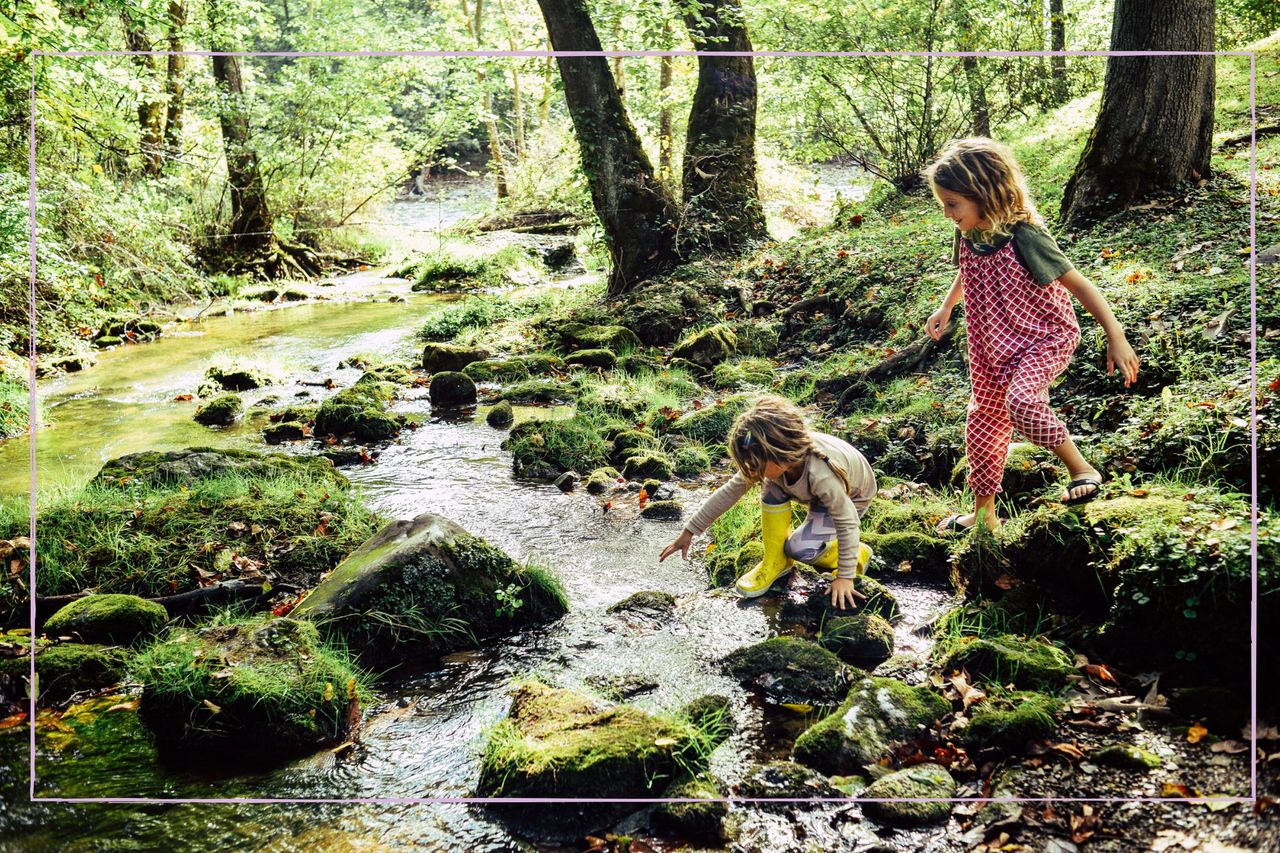 Two children playing in a stream in the woods