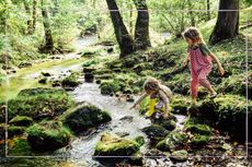 Two children playing in a stream in the woods