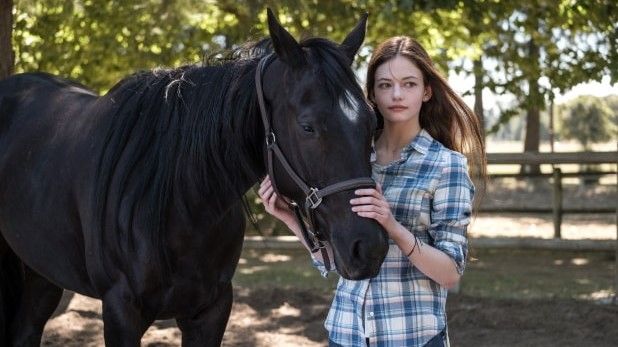 watch black beauty 2020 online