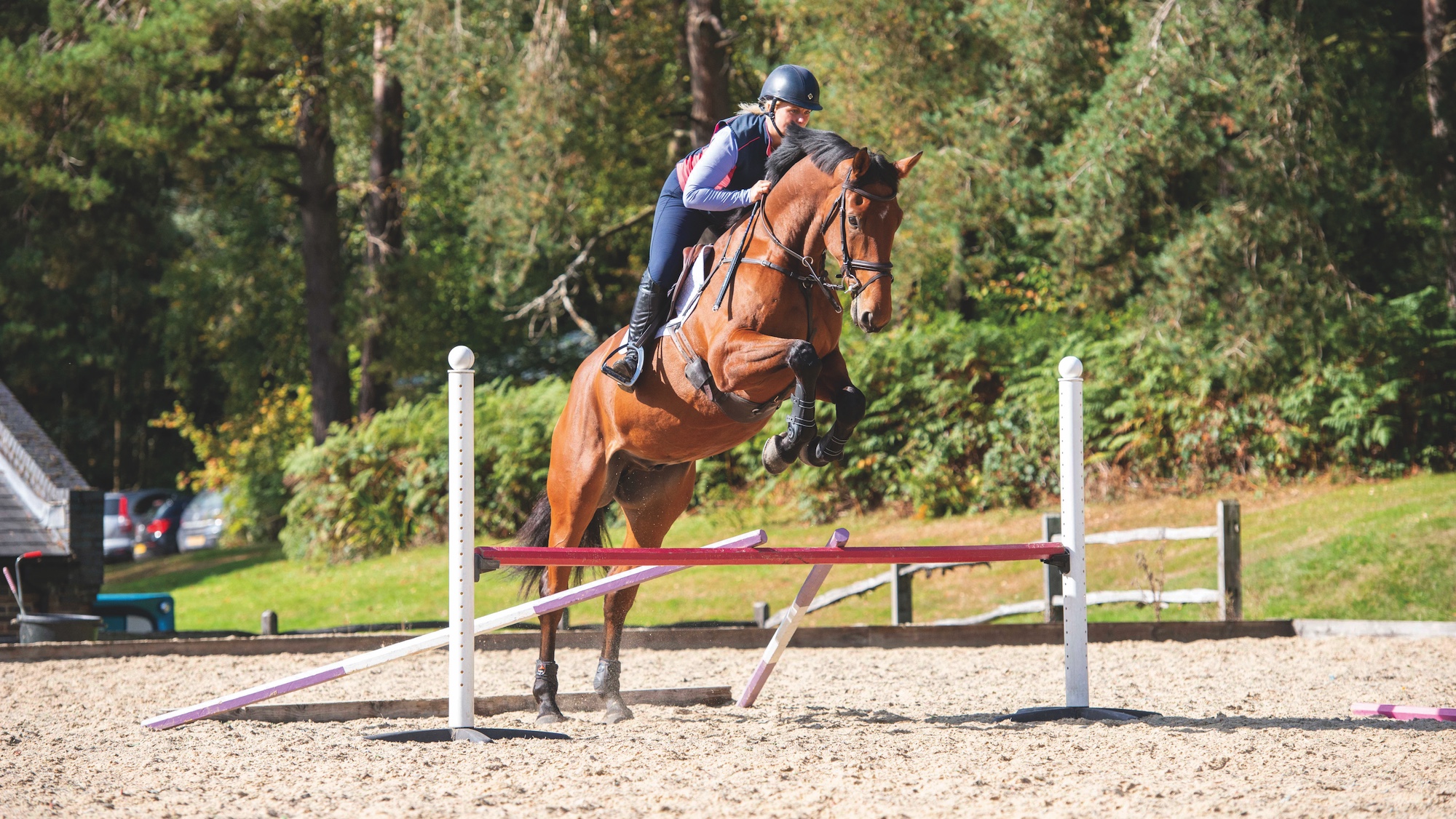 Demonstration of a V rail exercise that is used to improve a horse's jumping technique