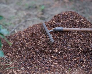 leaf mulch