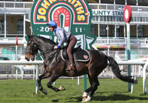 Aintree-hall-of-fame.jpg