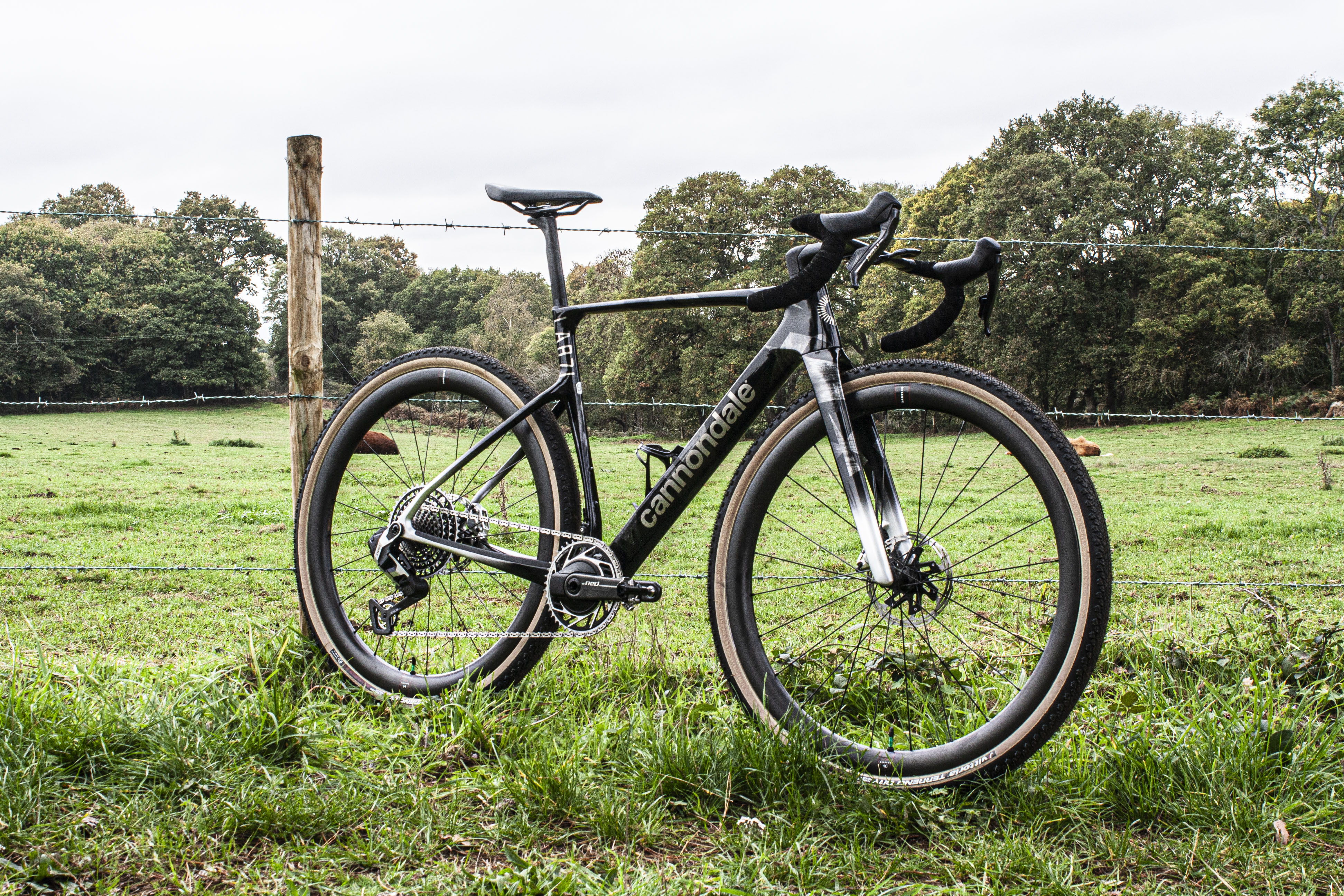 Cannondale SuperX Lab7 with grassy field and cows in the distance