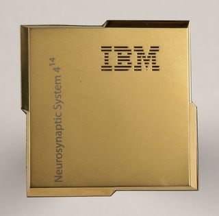 IBM's TrueNorth chip can simulate simulate millions of the brain's neurons.