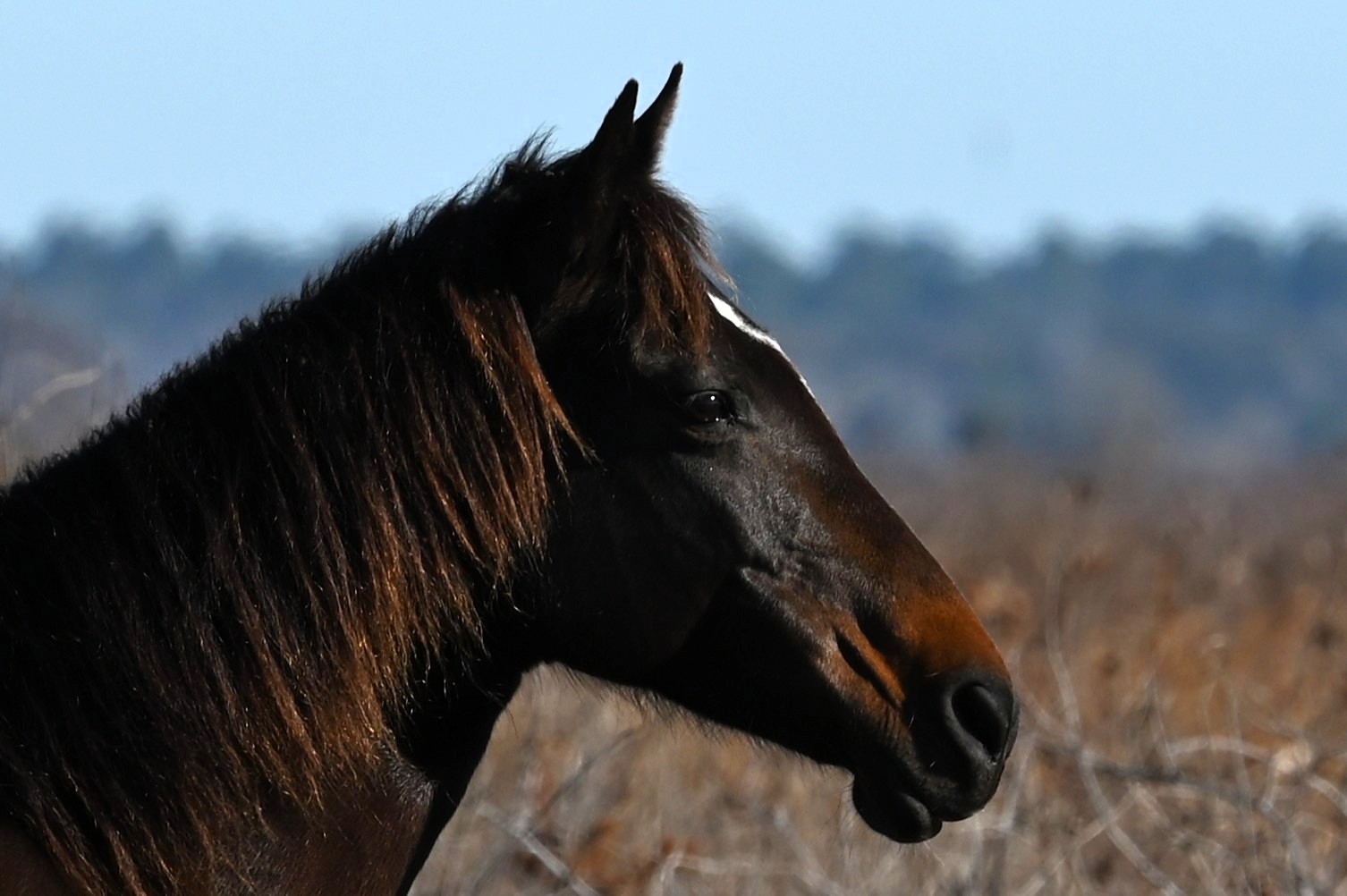 GuruShots - Nature March 2026