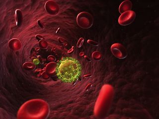 HIV Virus in Bloodstream